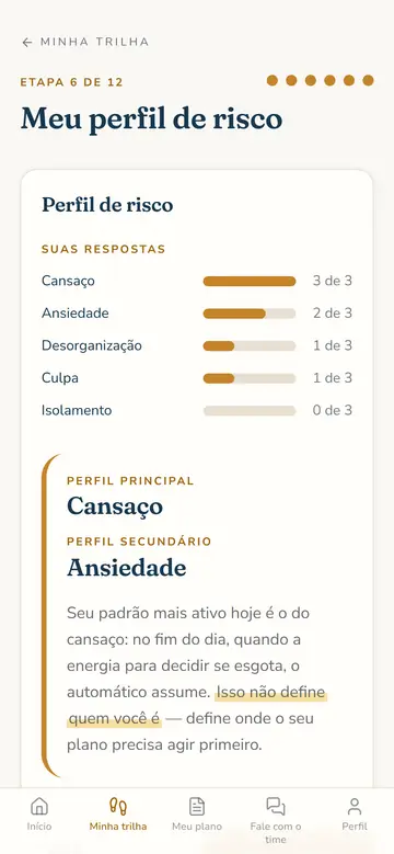 Resultado do Teste do Perfil de Risco, com os cinco motores medidos e o perfil principal e secundário nomeados.