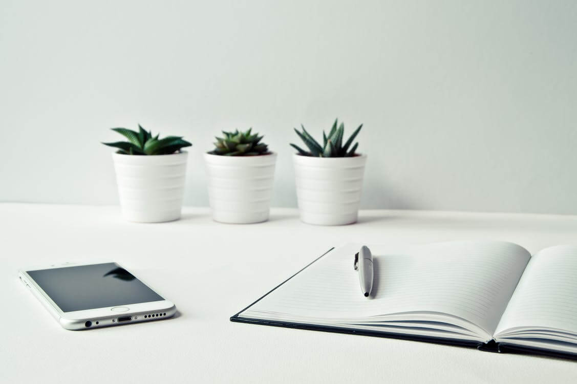 Caderno aberto, caneta e plantas sobre a mesa