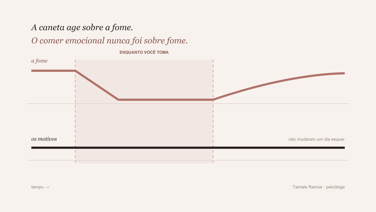 Gráfico: a fome cai enquanto a medicação age e volta a subir depois, enquanto a linha dos motivos permanece constante